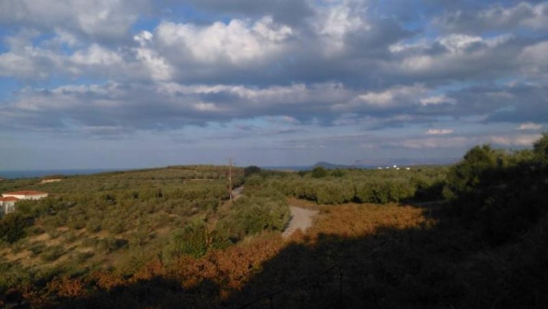 Kiparissos Kreta, Kiparissos: Grundstück auf einem Hügel mit Panoramablick zu verkaufen Grundstück kaufen